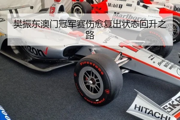 fan-zhen-dong-ao-men-guan-jun-sai-shang-yu-fu-chu-zhuang-tai-hui-sheng-zhi-lu-3-303.jpg