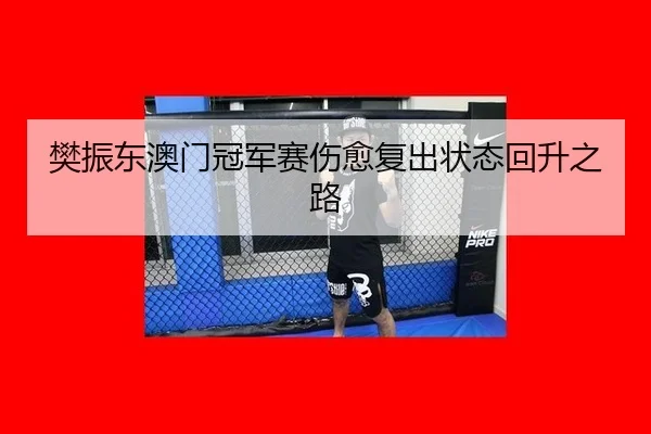 樊振东澳门冠军赛伤愈复出状态回升之路