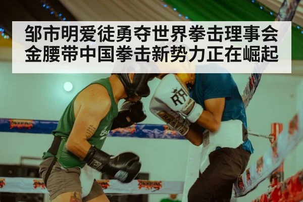 邹市明爱徒勇夺世界拳击理事会金腰带中国拳击新势力正在崛起